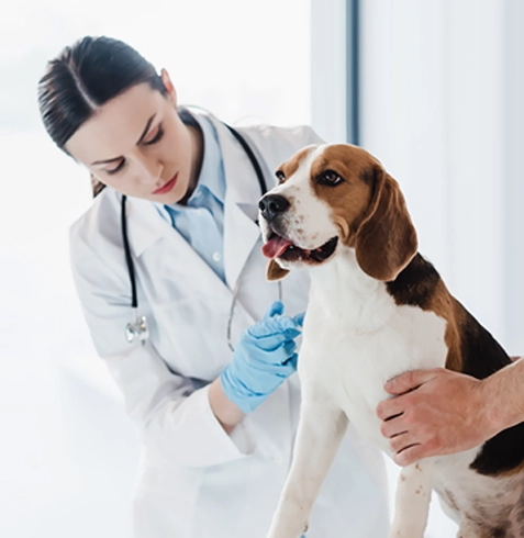 Kızılören Veteriner