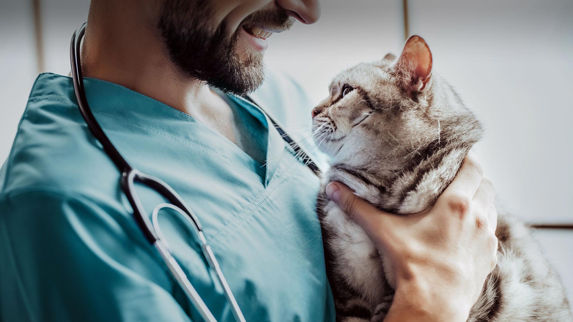 Kızılören Veteriner